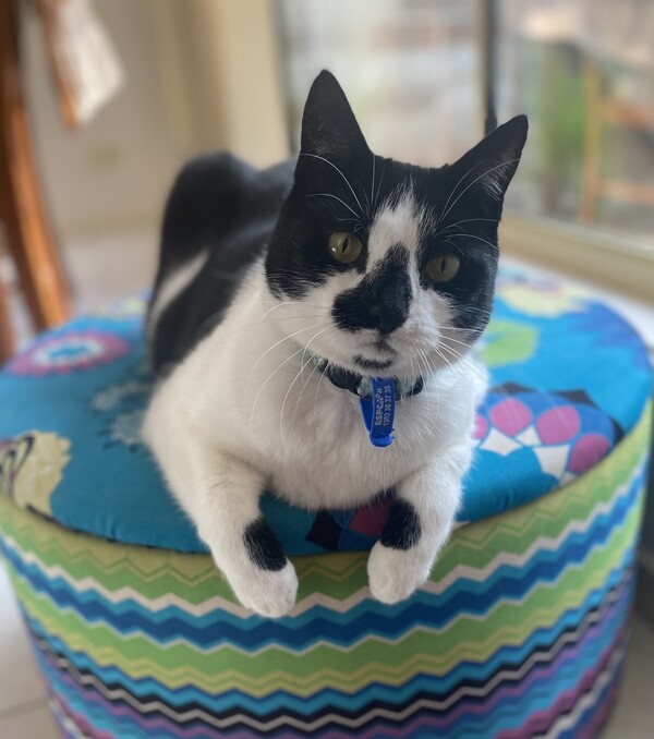 Smudge
