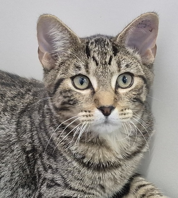 Tom