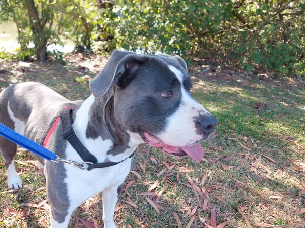 Missy