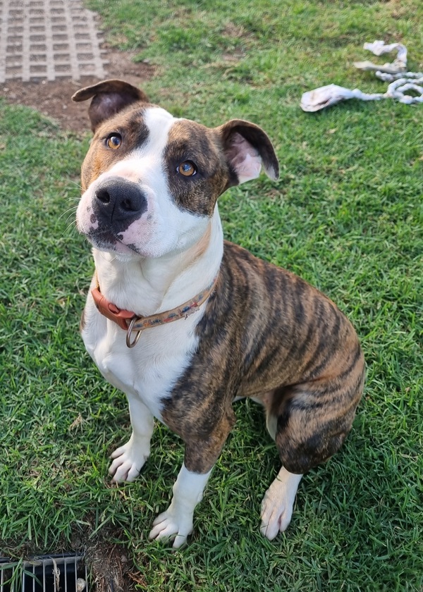 Penny