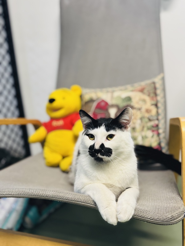 Scout