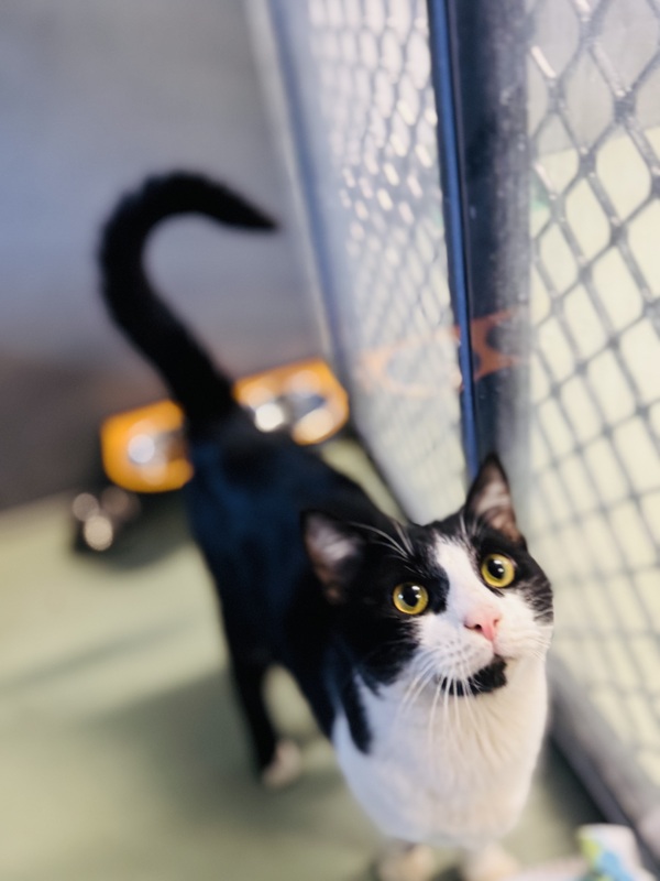 Tom