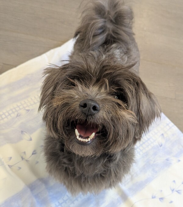 Coco