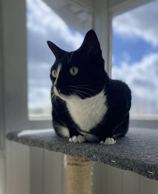 Chloe