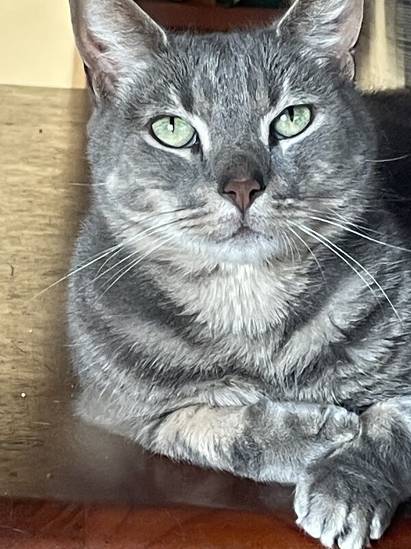 Leo