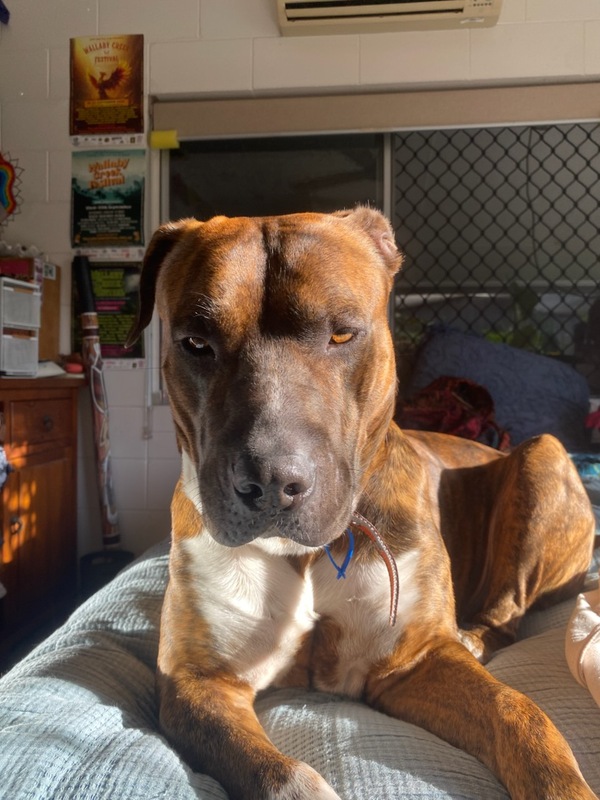 Zippa
