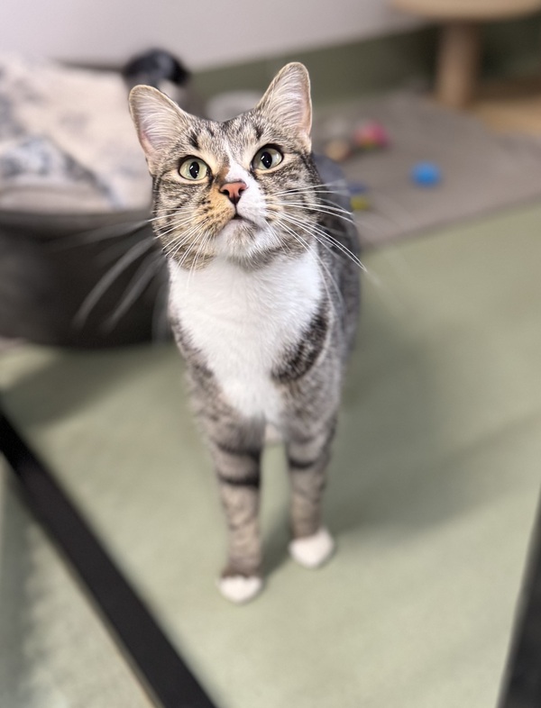 Zoe