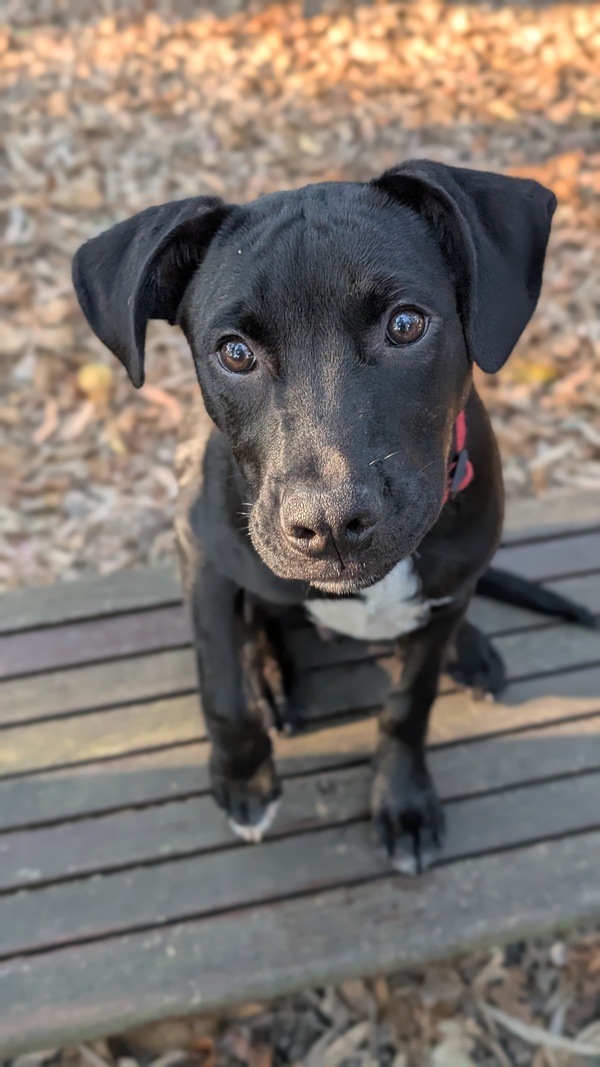 Jack