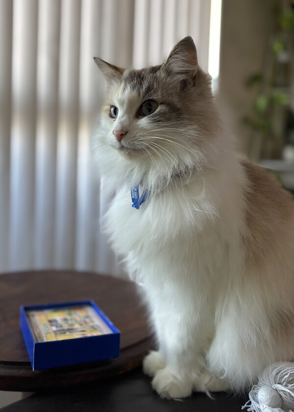 Katie