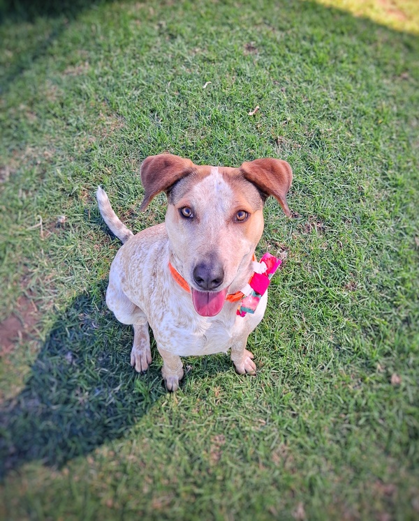 Minnie