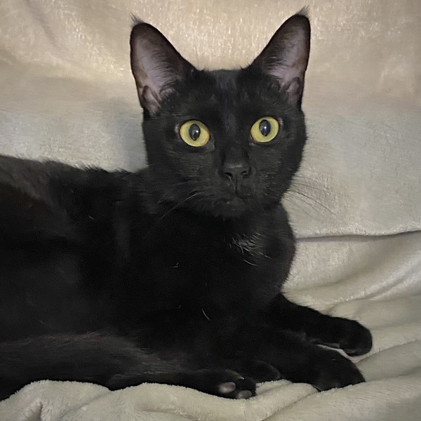Winnie