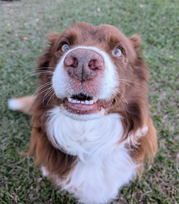 Marley
