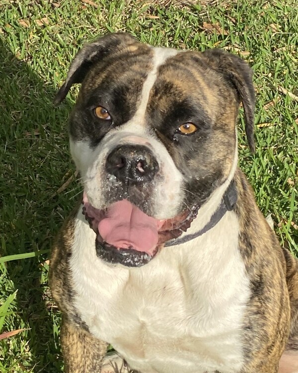 Lola