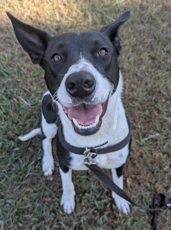 Skye