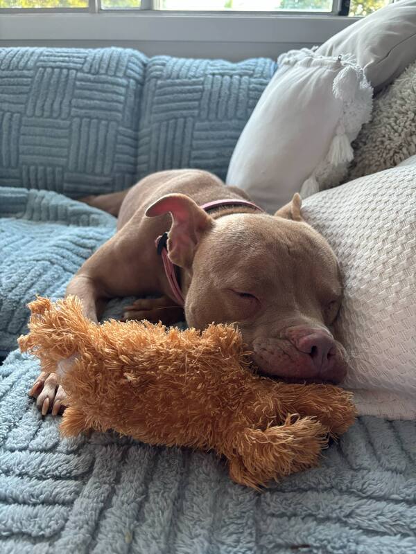 Ruby