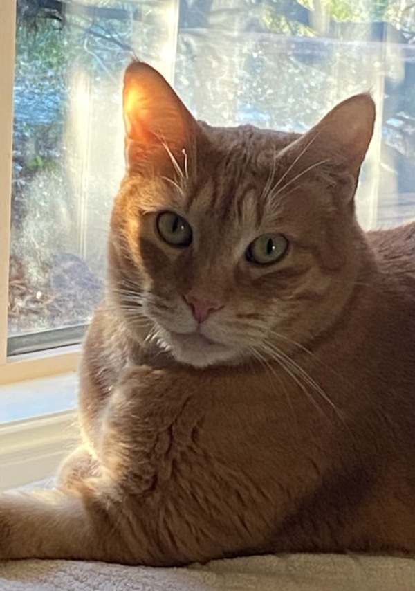 Milo