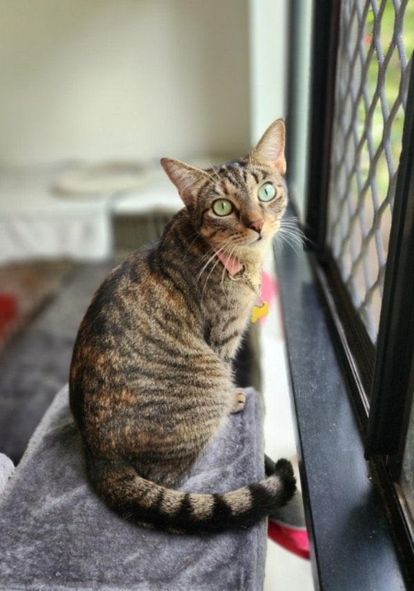 Winnie