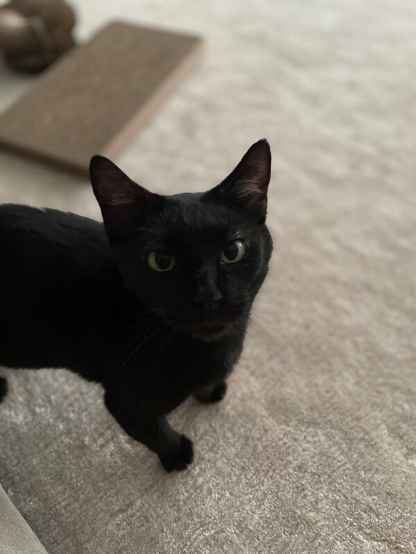 Kofi