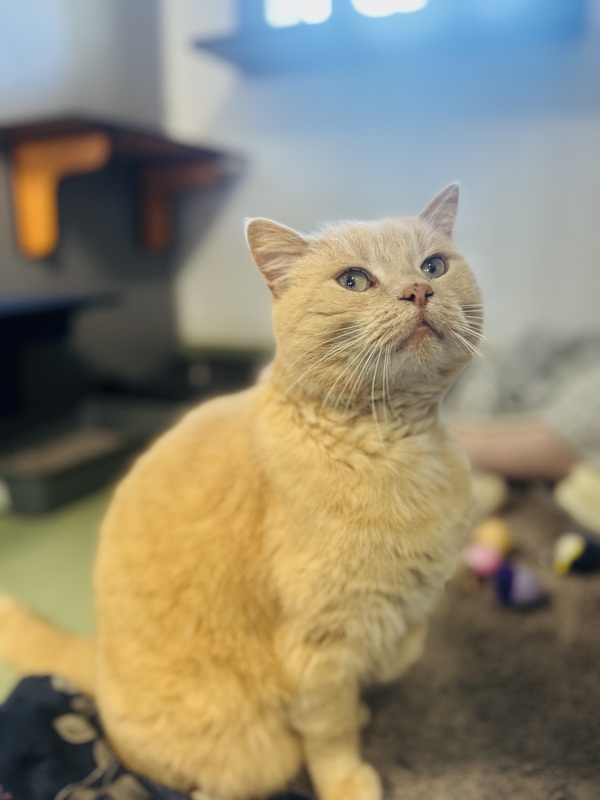 Leo
