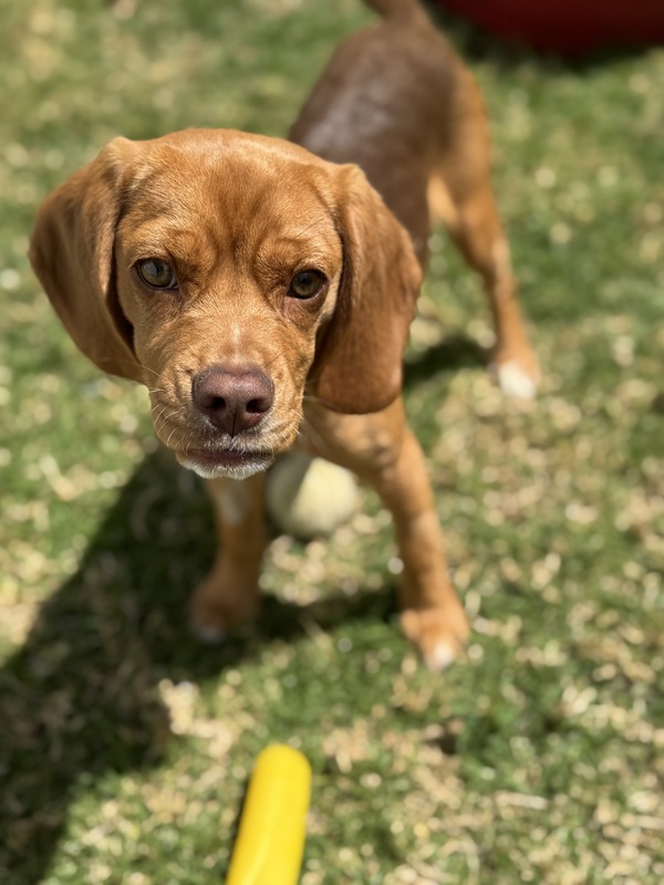 Ellie