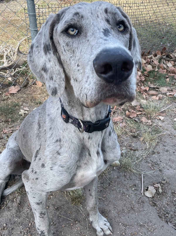 Sadie