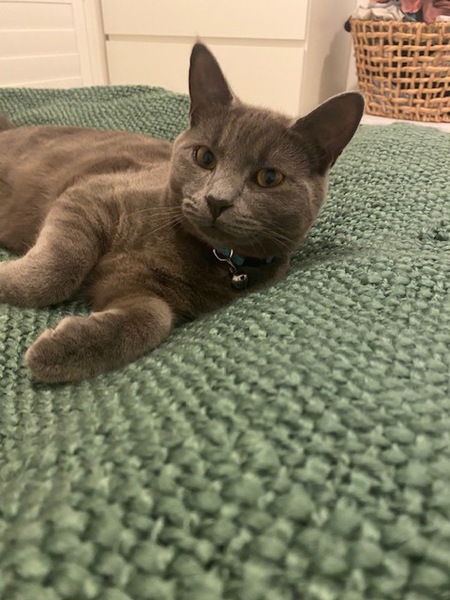 Jack