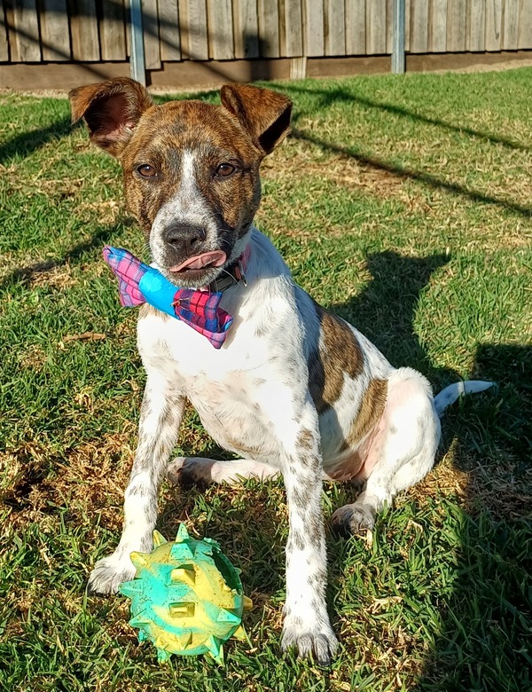 Chloe