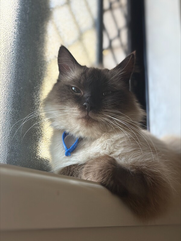 Winnie