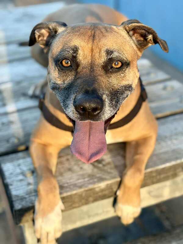 Luna