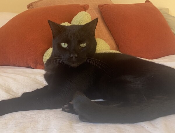 Tilly