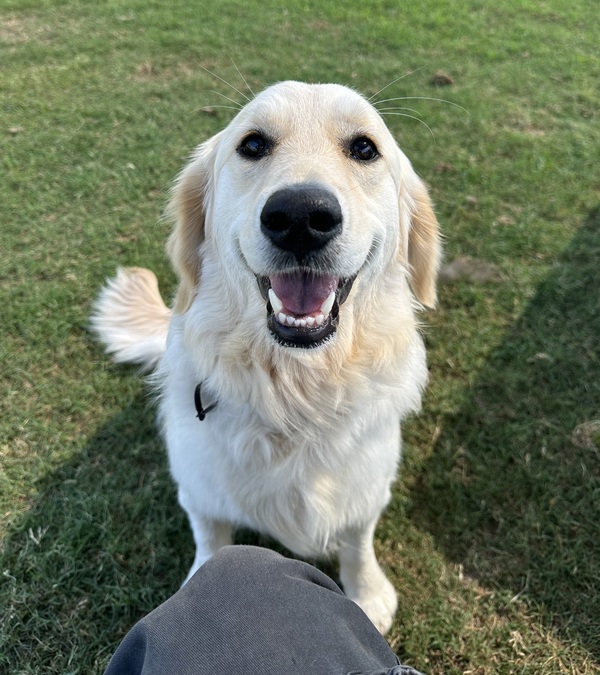 Lena